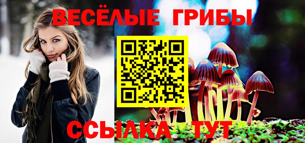 Галлюциногенные грибы GOLDEN TEACHER Сибай