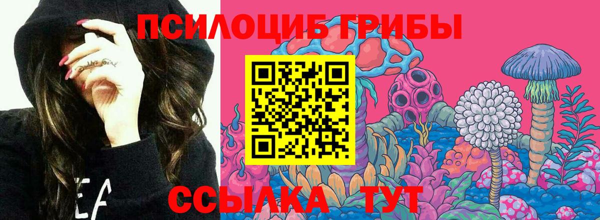 наркотики  Галлюциногенные грибы Cubensis  Псилоцибиновые грибы ЛСД  Вход с VPN  Сибай 